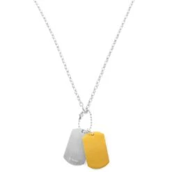 Fort Tempus Collier à Pendentifs Plaques Militaires Couleur Argent Et Or